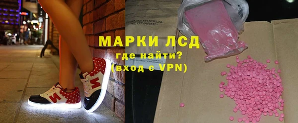 СК Новозыбков