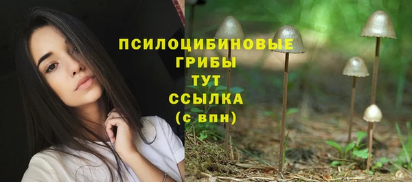 эйфоретик Нефтегорск