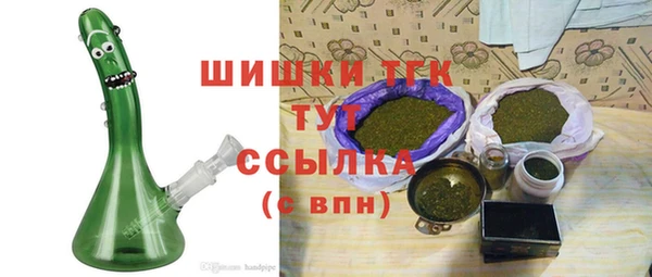 СК Новозыбков