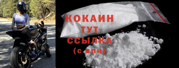 СК Новозыбков