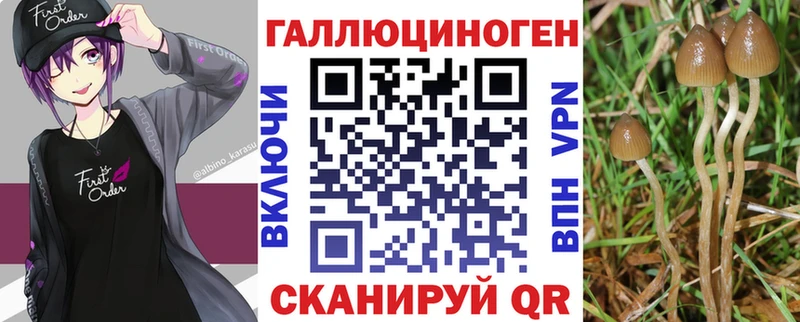 Псилоцибиновые грибы MAGIC MUSHROOMS  Кимры 