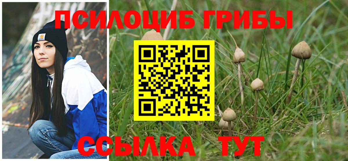 Кимры  Псилоцибиновые грибы Magic Shrooms  Вход с VPN 